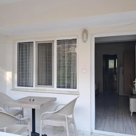 Sun Rose ホームステイ *