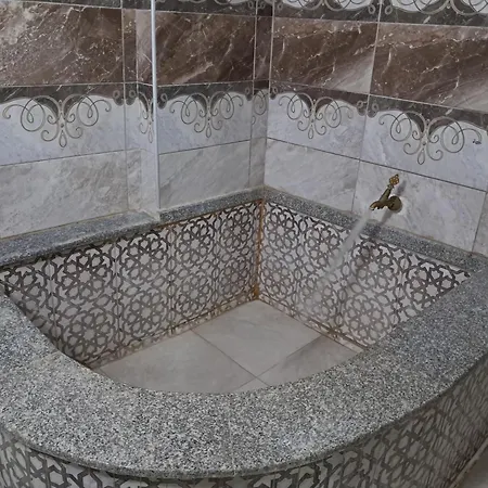 ホームステイ Sun Rose