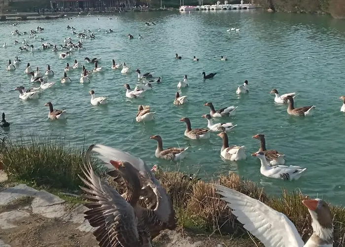 Sun Rose ホームステイ *